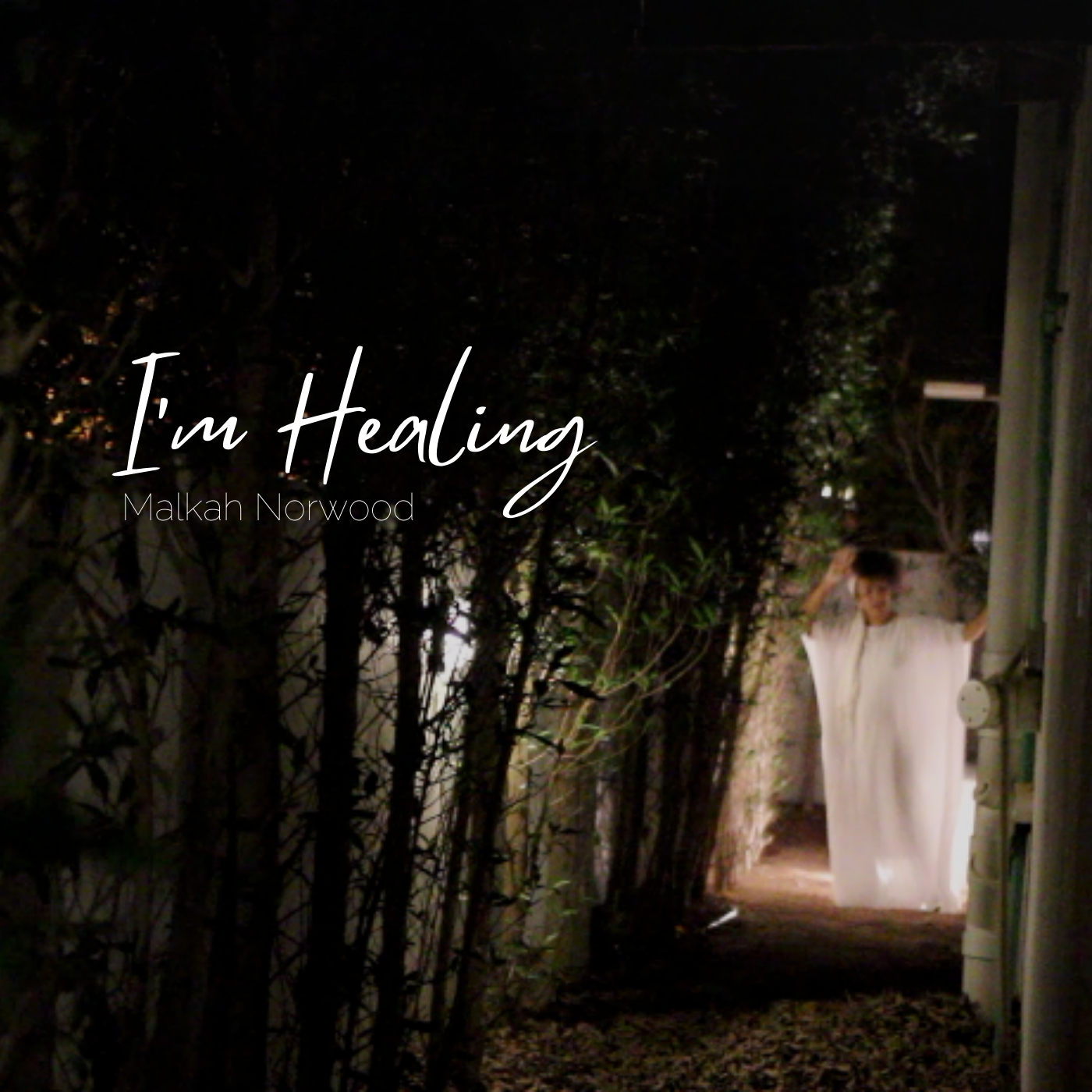 I'm Healing - Single by Malkah Norwood
